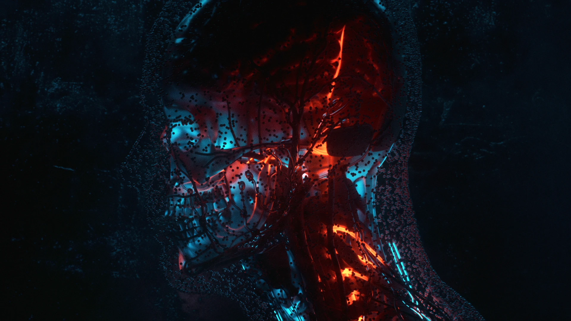 Şahsiyet Title Sequence